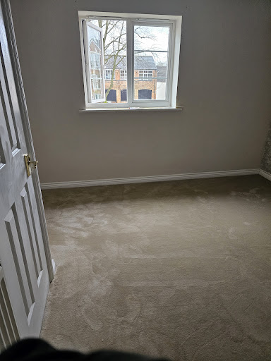 Carpetshire customer photo by Daniel Woolman