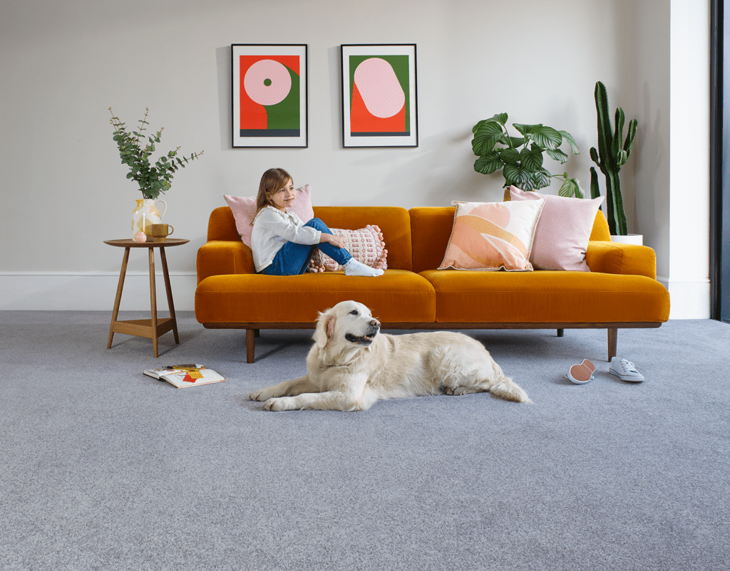 Apollo Plus Living Room Carpet