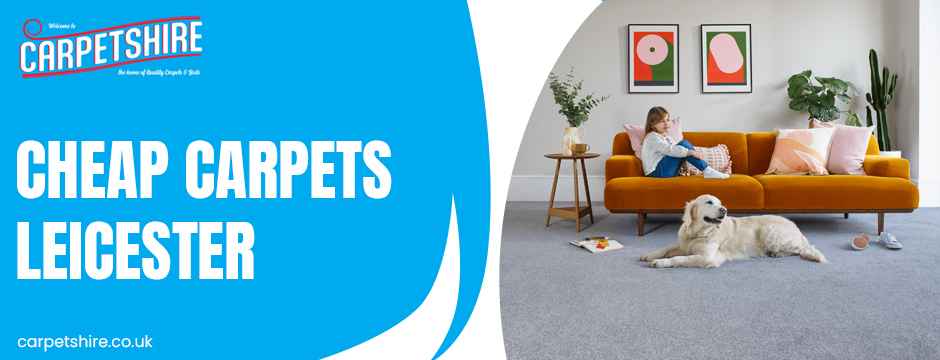 Warm Neutral Carpets: The Budget-Friendly Trend Leicester Loves